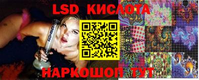 крисы Малгобек