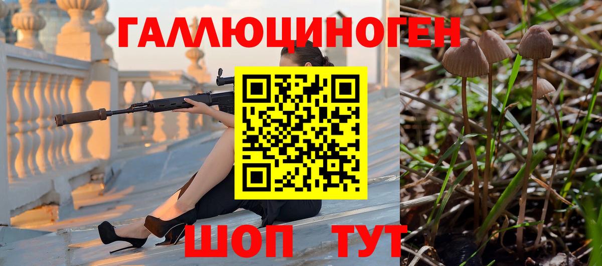 Галлюциногенные грибы Psilocybe  Вход с VPN  Знаменск 